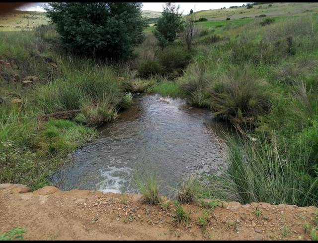 FARM FOR SALE IN LYDENBURG RURAL